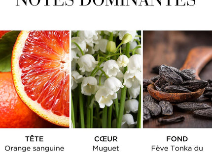 V2H511AF47CCCDB53B8BAA0CFC2ABBFB1F7R7472962P9