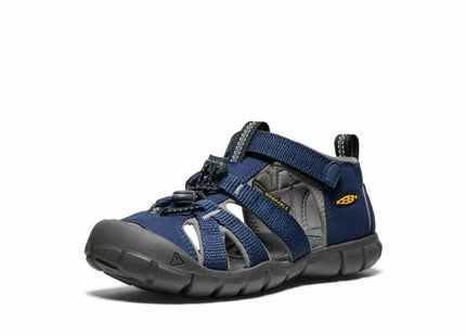 V4H250629036A5D73CC7113FD1874140145R6962546P4