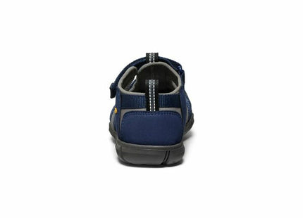 V4H6EB6628C6EC19C61C88422D2175EA3CFR6962549P5