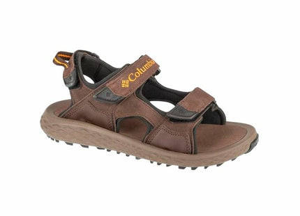 V3H50041B53E0DA210D09E59EEA25B78B44R6072203P1