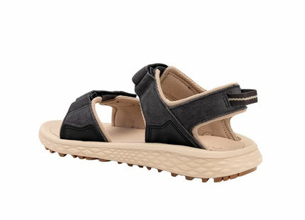 V3HBC25F29130F81E347FF3D0196C20E3E9R6072199P2