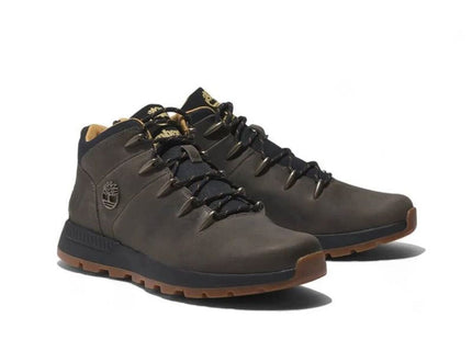 V2H27FFFEF65E8A1337267D3F58E99A7664R7625602P6