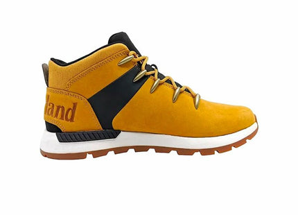 V4H8562C8D650FA1E94E820DFFA3C8CDCA6R5416793P1