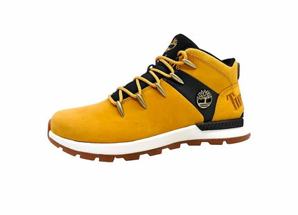 V4H8C61BA97D4AABA2D24BC701A446EE48DR5416796P2