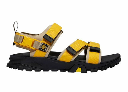 V3HD5AB5C1E653637FBBE5D7DDE9BC0BCBDR6166887P1