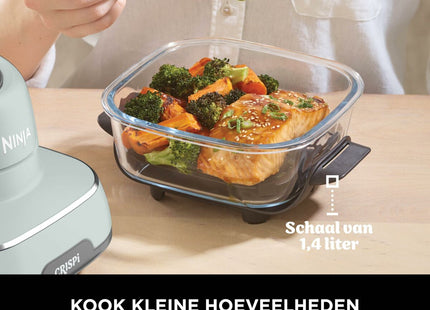 V5HF917F19B66E72E66BDC6842758246449R6291746P8