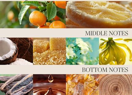 V2H33843E66C8A4729FEDE0640FC2E5B0FFR7472897P7