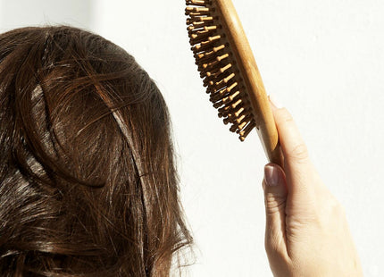 V8HB09E21F4A4A50DDFC97E54EB509926EFR4325630P2