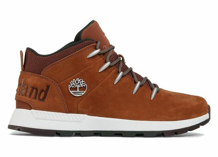 V3HBCEB340CECAC2225AE1E7AB4CFDC058BR6166462P1