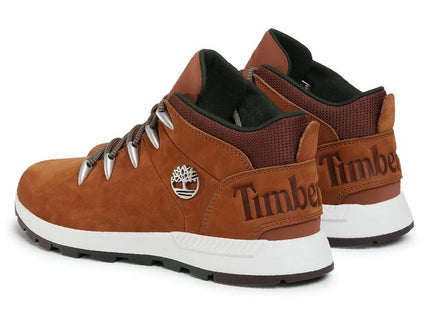 V3H1A1AAECE6B8947AFE376A00B940B3A97R6166465P4