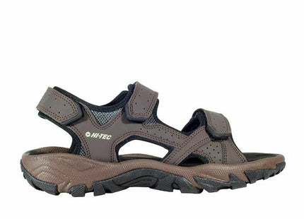 V8H4C69CA443D4C6882AF2E2A66FF276C1BR4744577P1