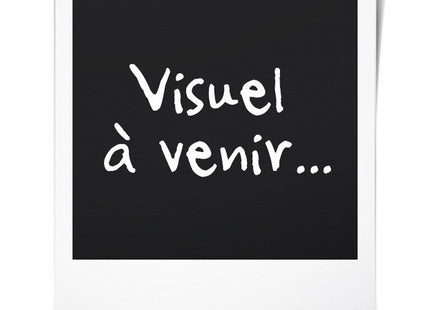 V4HFF9B2F398EC4A21CF74DB6F703728F1BR6818836P4