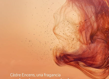 V2H7A47187D570C9A91A0FA2FF89590E957R7407119P3