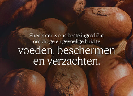 V2H041997C42F7DDFE15E14C3424FBB1403R7711616P1