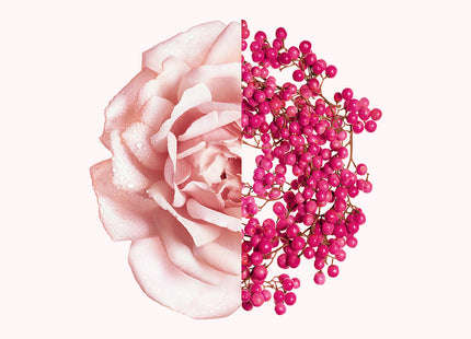 V3HAAC22B406C090608BE8CFC199168D959R6215014P3