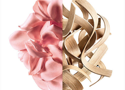 V3H0C196E29268924A72EC9D1CC696994C0R6237545P3