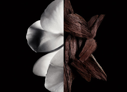 V3H29F747545892DF30CAB429BED0CC2928R6237557P2