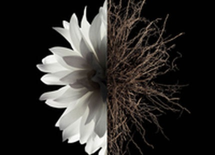 V3H4F6C68948B6ADA165E7B530CCE988CC6R6239565P3