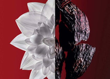 V4H387C84E14902E6D1A2A12F6EF2B47A13R5306329P3