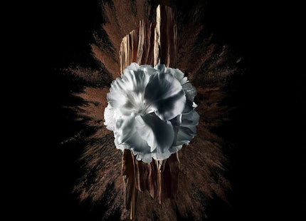 V4HD57BFFBA2AA917DD3D6BAA465CAA4794R5397790P5