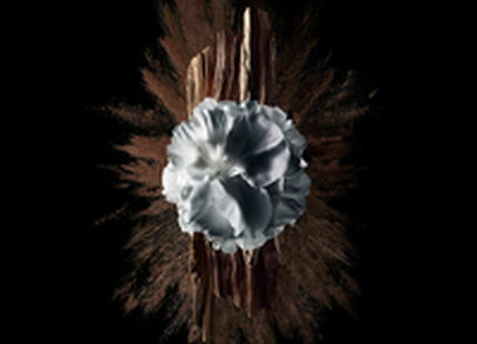 V4HBA43BAF822A621889D919D3E077064D9R5397791P6