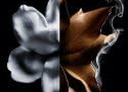 V3HB551176E9735A398D9C45A87597EAFFER6239984P6