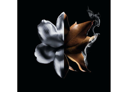 V3HA94868E4507C3D603F80BBACB150FA25R6240162P6