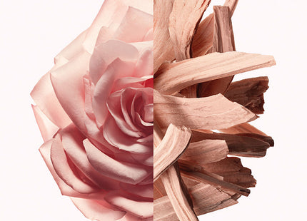 V4H4C4C5D73CD2087F0BEFB4F64BC079E68R5674604P3