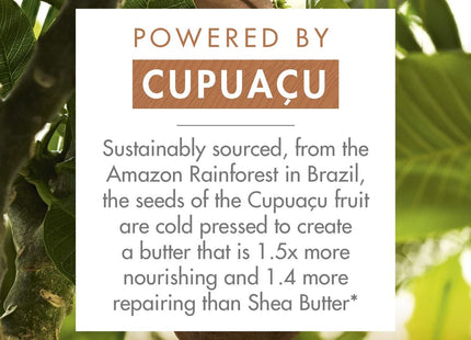 V2H13C928EBC11AE724B686632D11E8BC0CR7519766P3