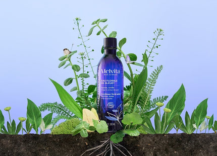 V2H57B33202382A47AB21BE649F7E17FFF0R6985291P6