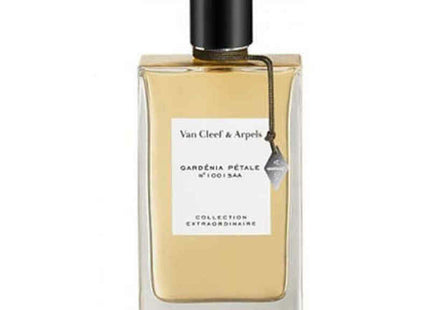 V10HFAF5B788A0AC3E2B4C2989AE889E3376R3335432P1