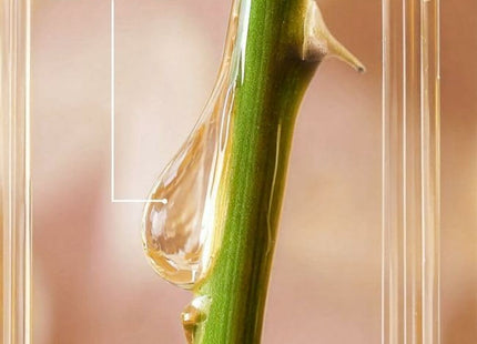 V3H85101D389947B8B428C66C68ED9659BBR5608847P2