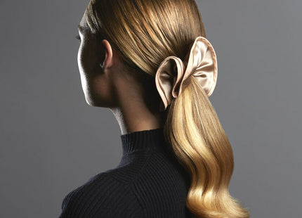 V2H68FE8E791A3AE3A0C28CFF548975898AR5878222P10