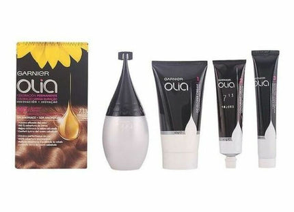 V11H3B604206DDE4E04A9B51B7301F1D4A2BR3759152P1