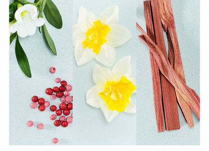 V2HC01E0E28DA16BBAB6ABCE9FF2960174AR7137004P3