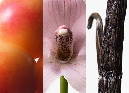 V4H420C6247E3FC70A93A6C9AE4C1FBEA15R6446337P3