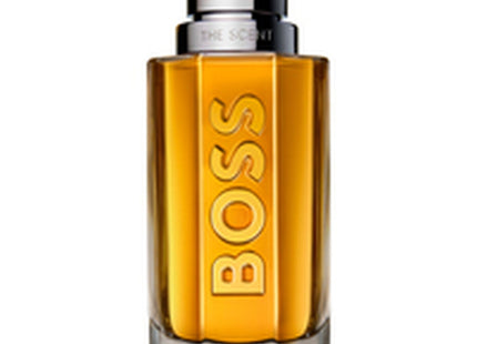 V3H399B1FA917F1DC13D63B94D86D16AC60R6436599P2