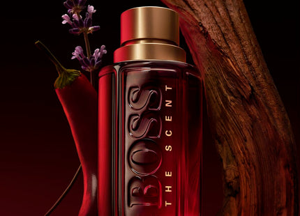 V4HB851442673D3F962EBE771D1F057A2C2R5856829P4