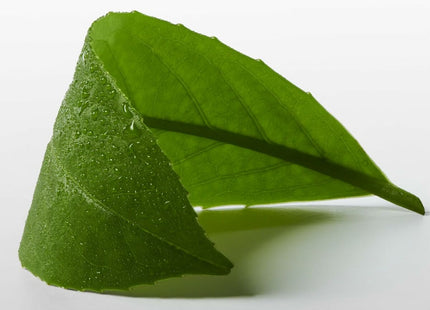 V3HD912A6E3A86270425A4FABEA8AC92A2FR5672453P7