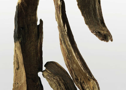 V3HA451631FE9227BB0A437E6188A776E68R5672457P9