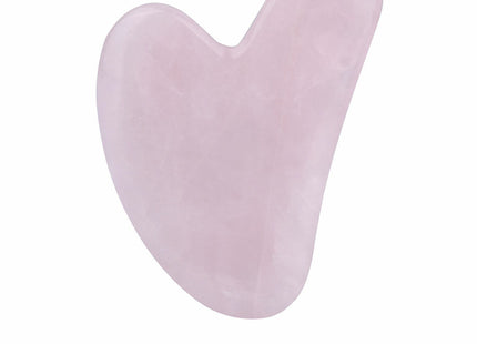 V4H5C8100CC21B0B20BBE3D4187DE629E09R5284700P1