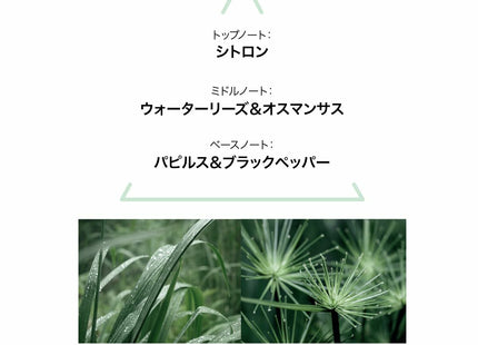 V2H75A089F122357ED96FBBD32DEAEA6905R6996324P3