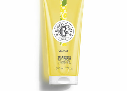 V8H7D41903FE50BE6DEDBF83E0E57CE4415R3766321P1