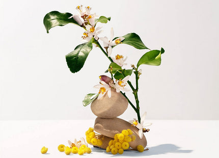 V10HED75214CB6F40A58C4E1BADDC13DB04AR3295177P2