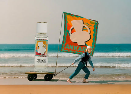 V2H43B3A00389A3F95414033E7DC6DE1D44R7356017P3