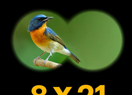 V2H38C8285B38CE489DE734C443775D0E45R7522633P6