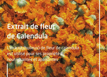 V5HB9F4E7483823F837D29873B11F1C7252R6052388P9