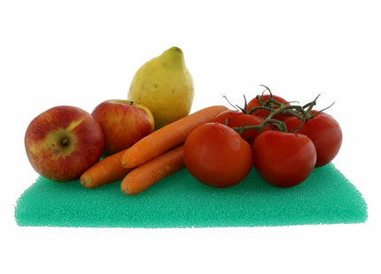 V11HF465D64D466059564602A33BFECE9439R3721827P1