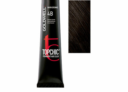 V4HE10A91500E806364A2968C31199DAE89R5313747P1