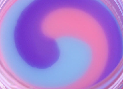 V2H0FE8C6D95807D8FB22D096D13791025FR7435232P7